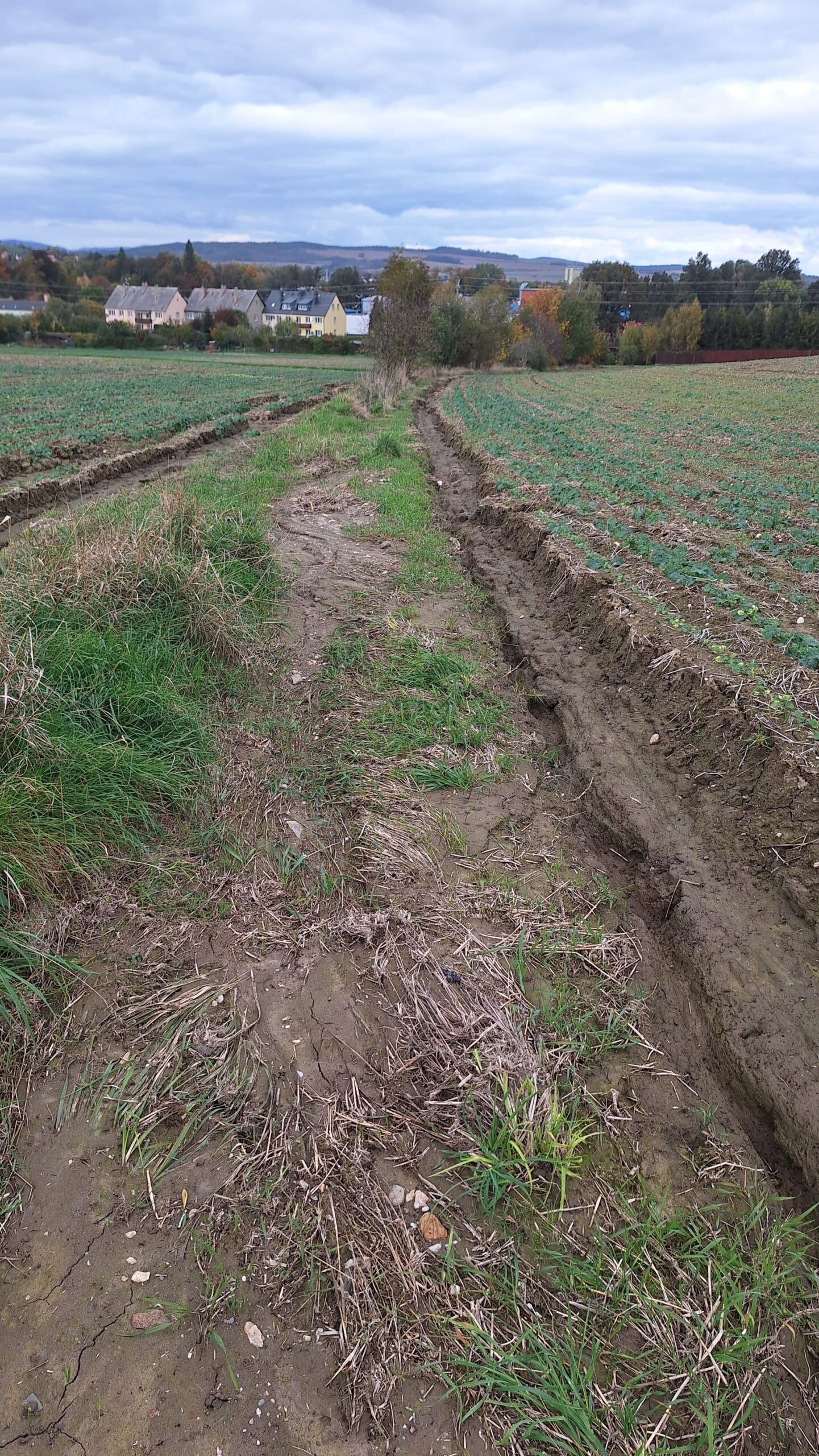 Při přívalových srážkách má téct přebytečná voda zatravněným průlehem