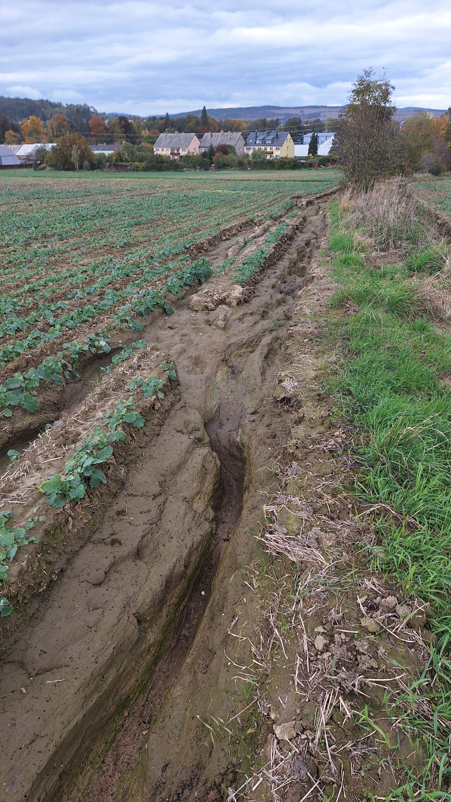 Ve skutečnosti teče voda kolem něj a odplavuje další a další ornici