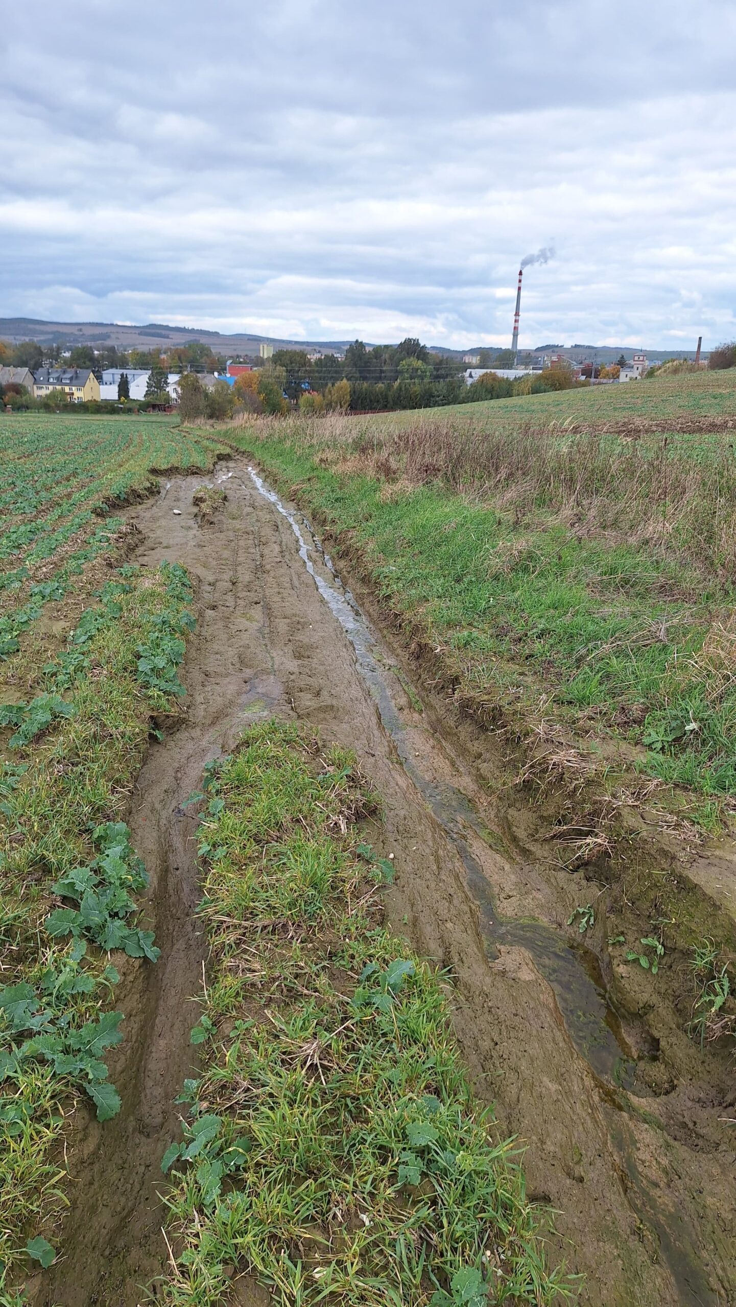 Odplavuje ji zleva i zprava a voda s bahnem teče do obydlené části města