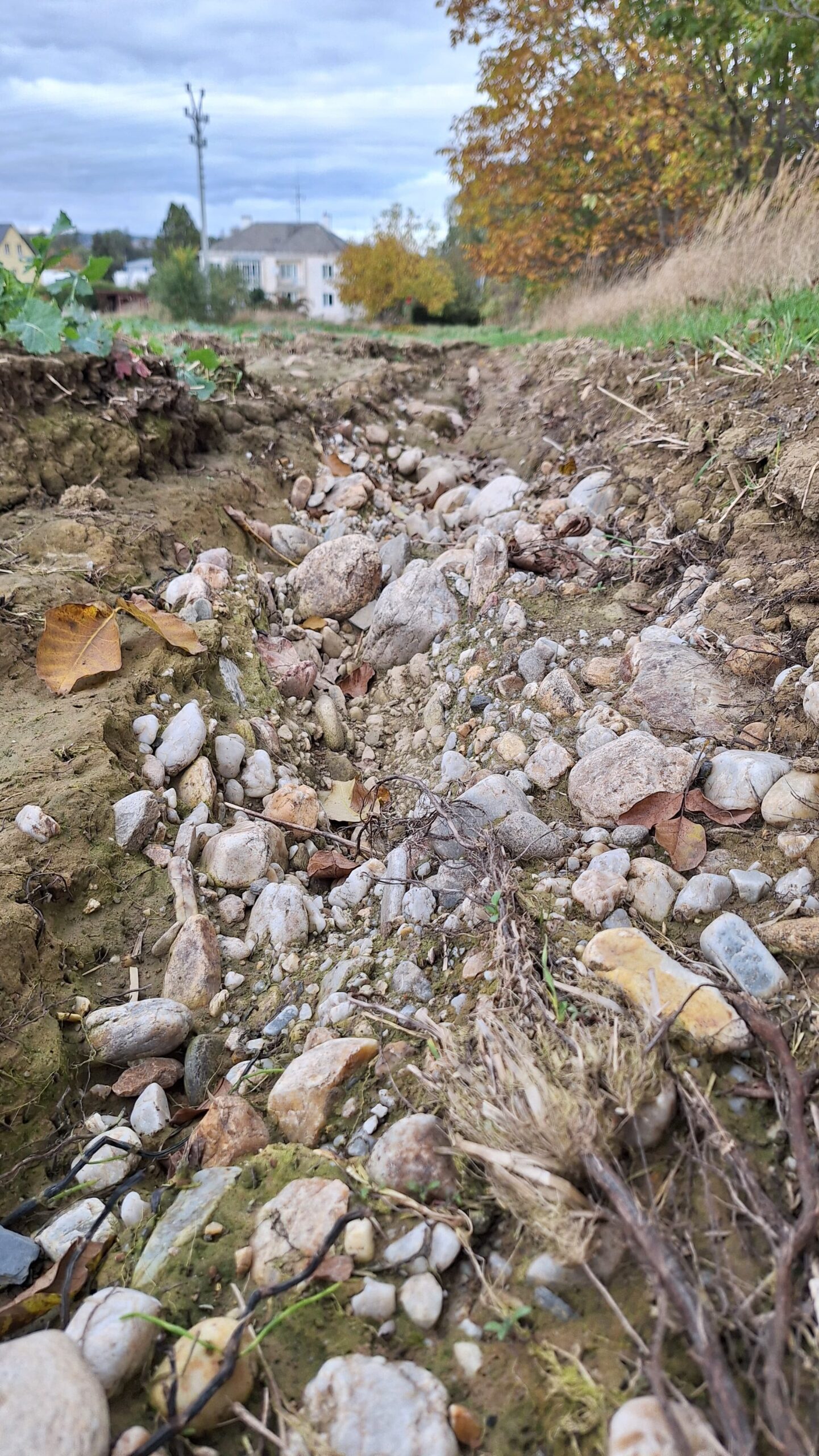 Množství ornice je obrovské (škoda pro zemědělce) a v ulicích, zahradách a sklepích je pak ve formě bahna (škoda pro občany i veřejné majetky)