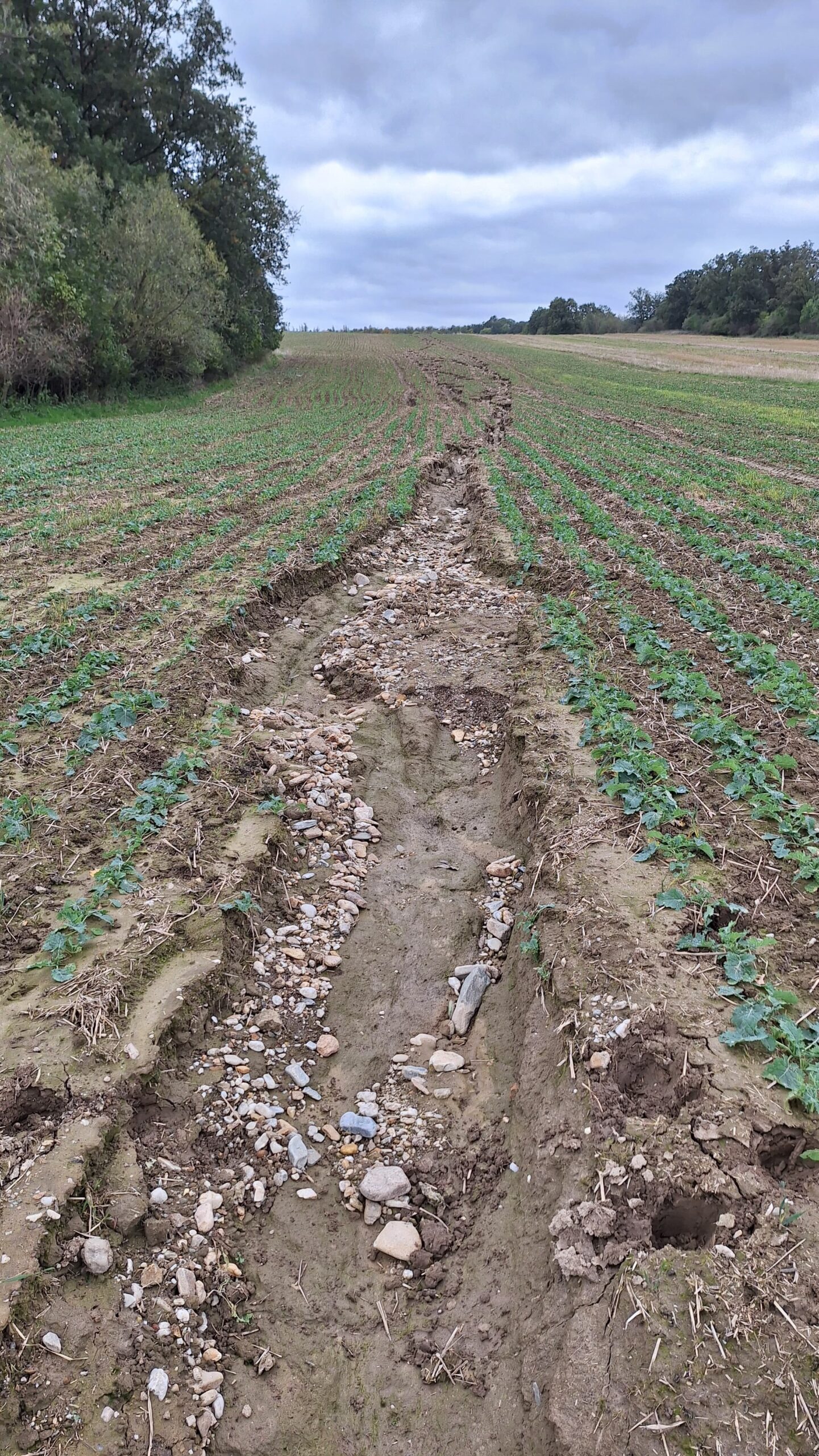 Rýhy jsou i přes metr široké a několik desítek cm hluboké